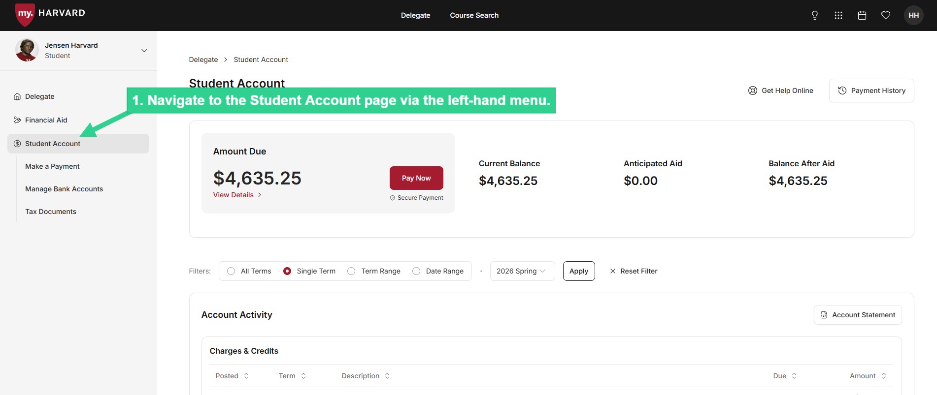 Navigate to Student Account via left-hand menu