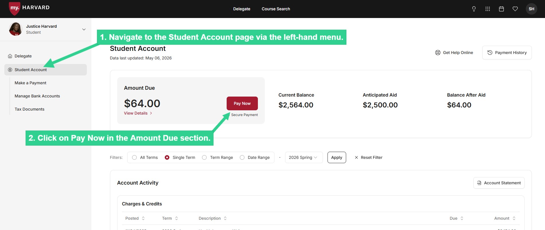 Navigate to Student Account via the left-hand menu and click on Pay Now in the Amount Due section