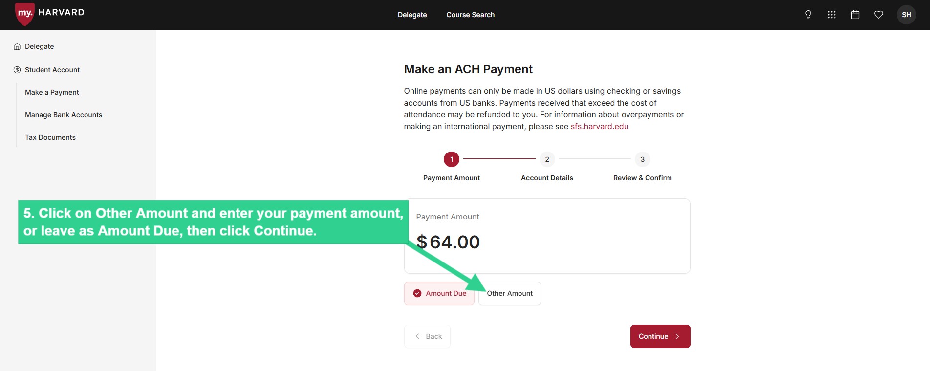 Click on Other Amount and enter your payment amount, or leave as Amount Due, then click Continue