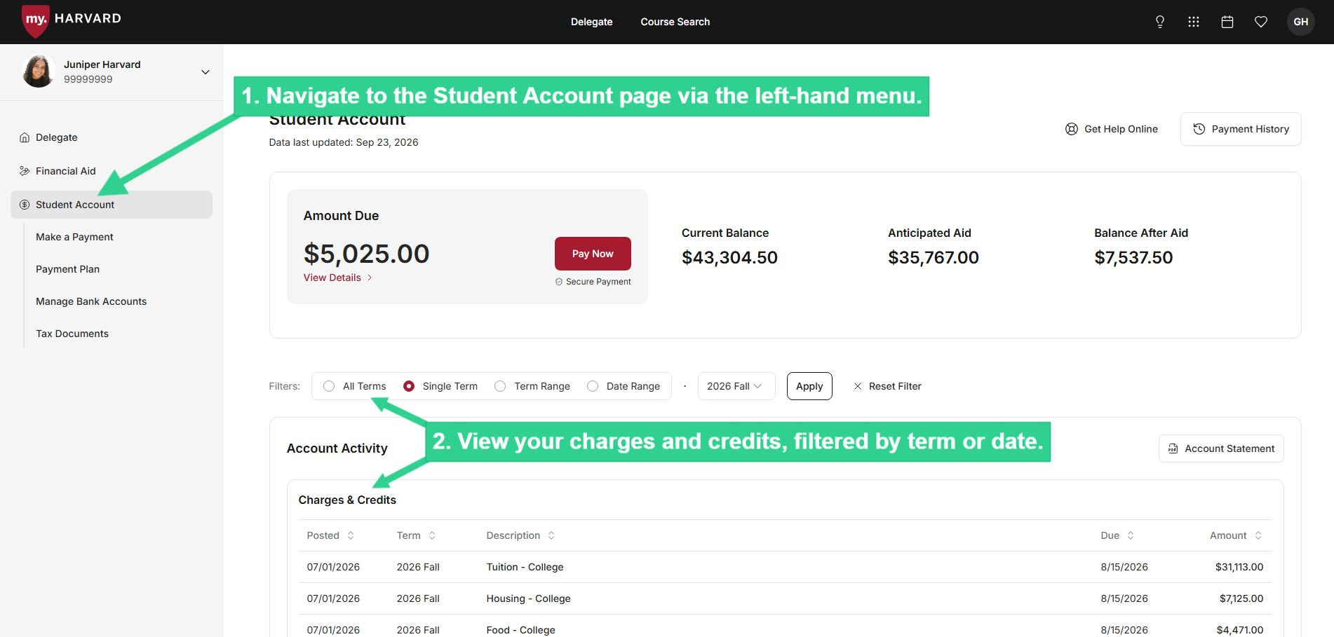 Navigate to Student Account via left-hand menu then view your charges and credits filtered by term or date, under Account Activity