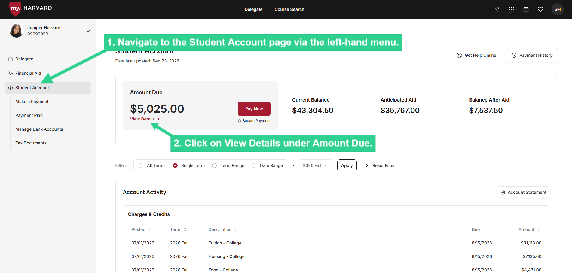Navigate to Student Account and click on View Details under Amount Due