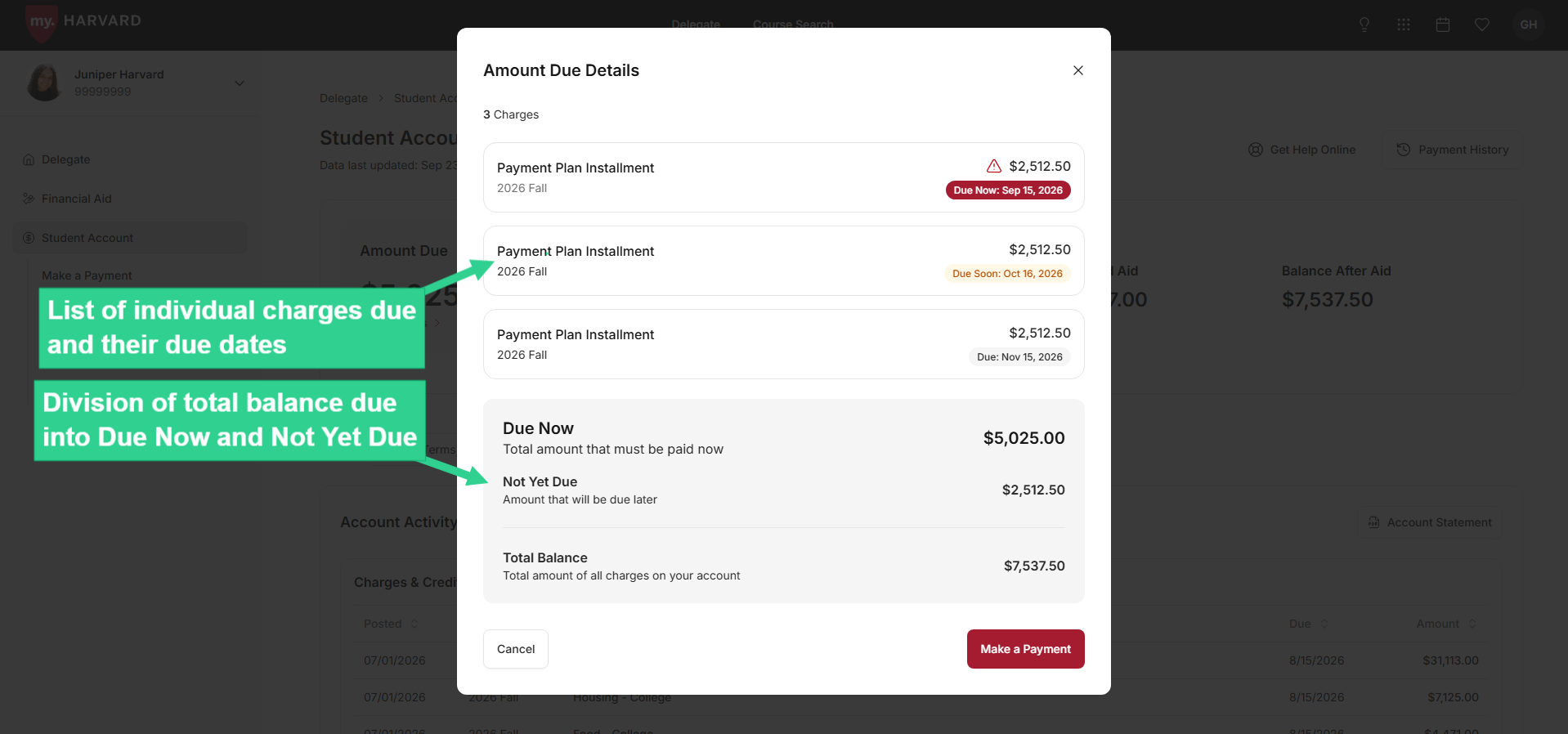 List of individual charges due, and division of total balance due into Due Now and Not Yet Due