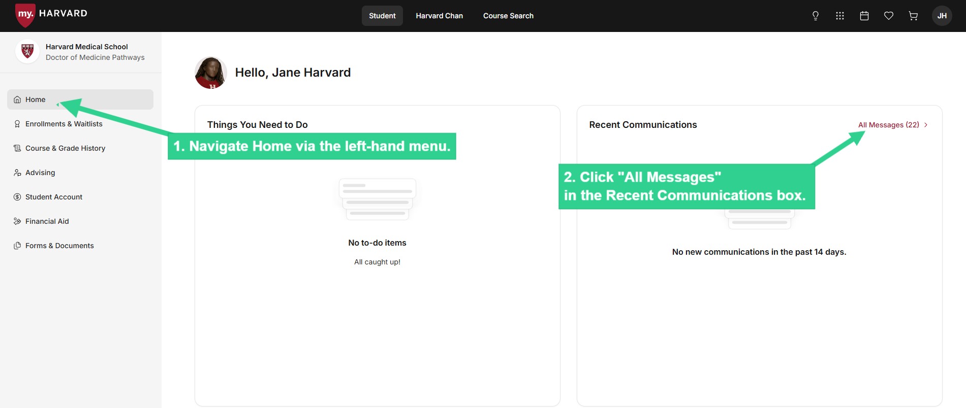 Navigate Home via the left-hand menu, and click All Messages in Recent Communications