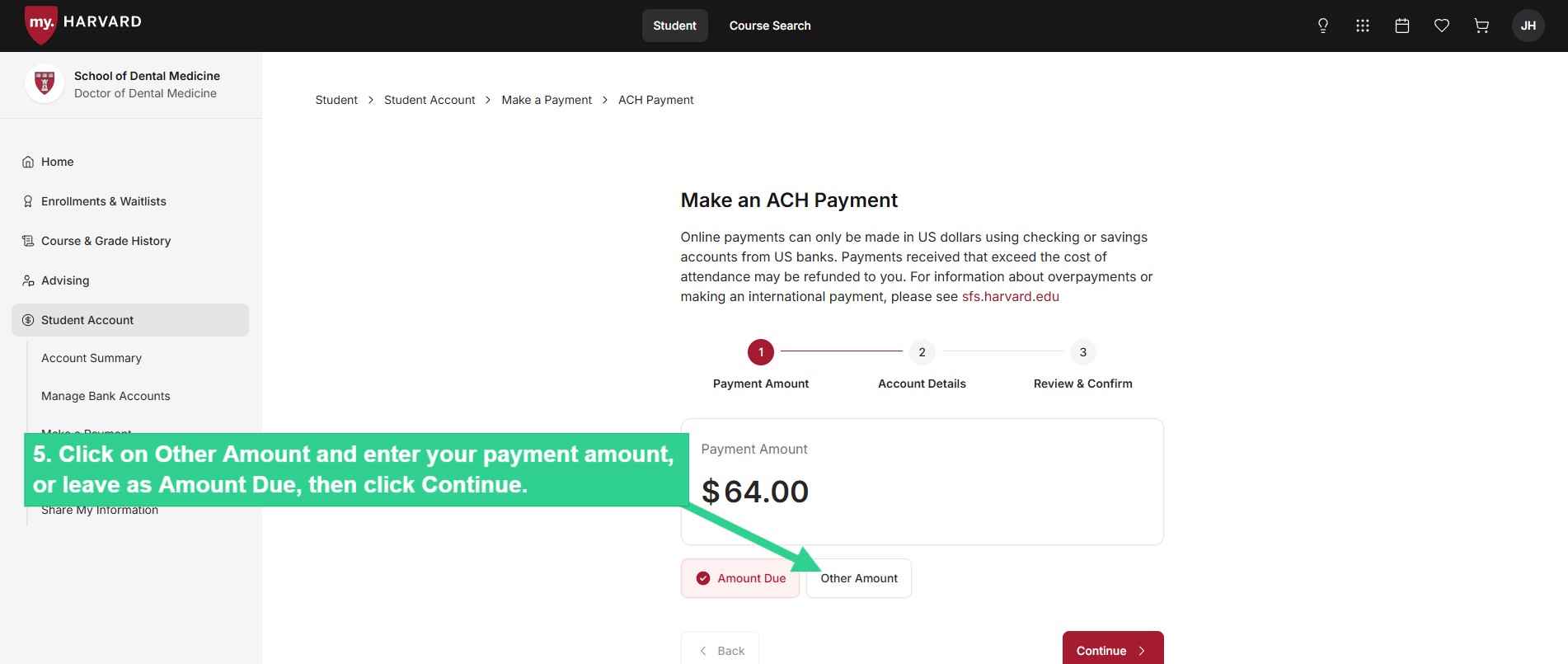 Click on Other Amount and enter your payment amount, or leave as Amount Due, then click Continue