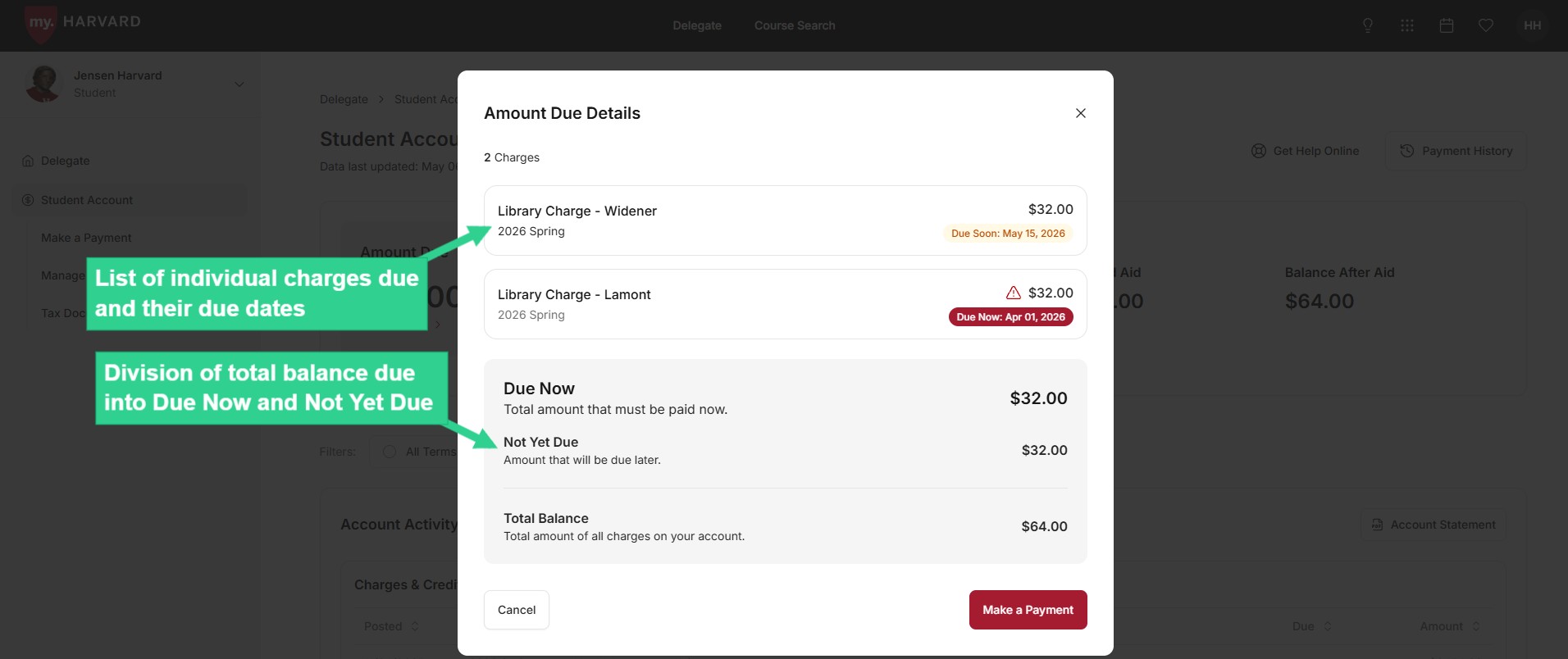 List of individual charges due, and division of total balance due into Due Now and Not Yet Due