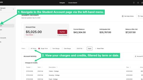 Navigate to Student Account via left-hand menu then view your charges and credits filtered by term or date, under Account Activity